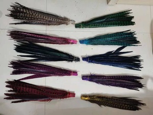 Natural al por mayor Plumas Ringneck faisán Plumas de la cola Pluma de <span class=keywords><strong>Faisan</strong></span> - Product Image 3
