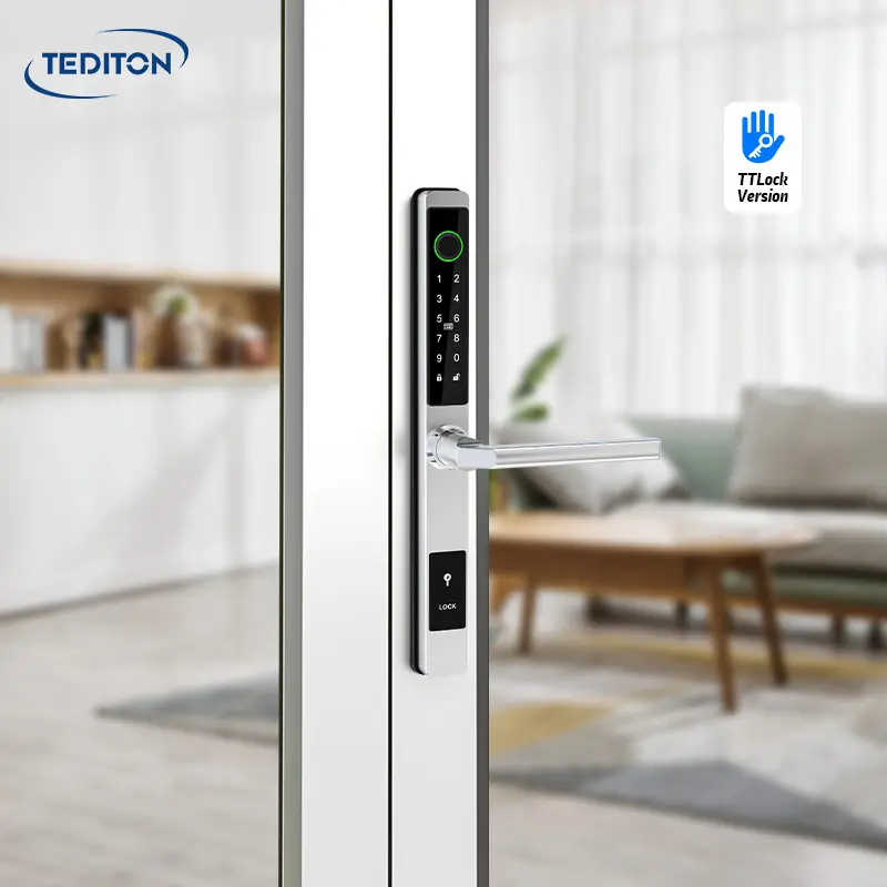 Tediton Keyless Electronic Smart Sliding Aluminum Fingerprint Door Lock with Europe 3485/4585 Mortise