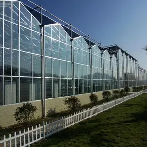 Serre en verre agricole et serre en polycarbonate