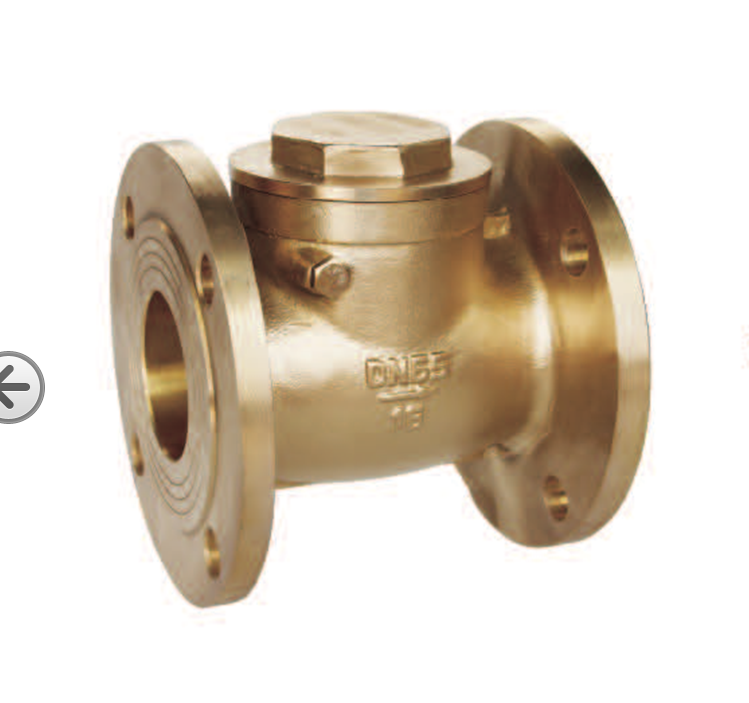 Professional design low price brass flange check valve H44W-16T