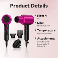 Sèche-cheveux électrique professionnel de salon, moteur BLDC 110000 tr/min, haute vitesse, ionique, diffuseur compact, utilisation en camping-car, température constante