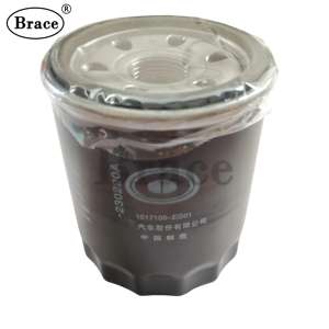 ハヴァルH2用オイルフィルター OEM：1017100-EG01 - Product Image 4