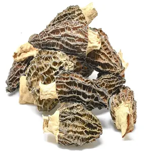 중국 말린 모렐 버섯 모렐 과일 바디 (크기: 2-3CM) 판매 모렐 재배