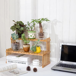 Bamboo Plant <b>Shelf</b> 2-Tier <b>Desktop</b> Plant Organizer Rustic Plant Ladder Succulent <b>Shelf</b> Indoor Multi-Plant <b>Shelf</b> - Product Image 4