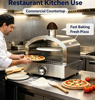 Four à pizza au gaz moderne en acier inoxydable sur mesure pour la cuisson de pizzas et de pains en extérieur, portable et étanche