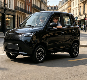 Auto Eléctrico Pequeño, Modelo Europeo, Vehículo de Nueva Energía, 4 Plazas, MINI SUV, Certificación UE, Vehículo para Adolescentes, Entrega Rápida - Product Image 1