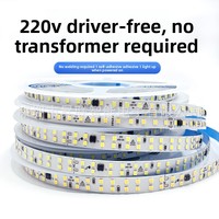 Bande LED haute tension 220V 2835 120 LED SMD auto-adhésive pour intérieur, blanche, PCB 8mm, sans driver, sans alimentation requise
