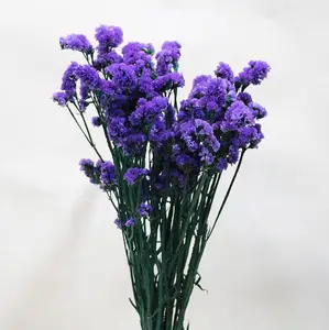 Ychon Hot Selling Gedroogd Geconserveerd Gebladerte Bloemen Vergeet Me In Topkwaliteit Bloemen Voor Decoratie Kunstmatige