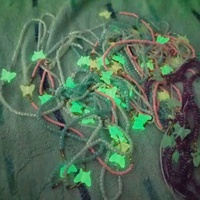 Chaîne de taille d'été pour la plage, perles lumineuses dans le noir, breloque papillon, chaîne de ventre perlée pour femme, bijoux de corps sexy, chaîne de corps africaine