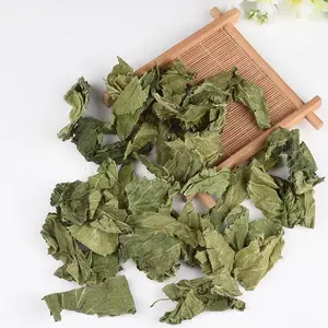 DONG SANG YE Source factory wholesale organic Dried Mulberry Leaf Anti-Inflammatory Effects Customizable herbal teas Health Tea