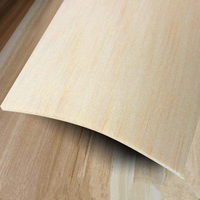 Plaques de bois de balsa naturel, plusieurs épaisseurs, planches de bois clair non finies pour le bricolage, la modélisation et la décoration de mini-jardins