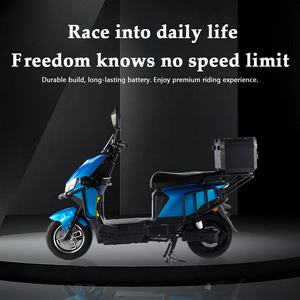 Moto électrique PACIFIC 1200W 60V 60km/h avec frein à disque hydraulique, homologuée CE DOT, pour adultes, usage urbain et routier à grande vitesse - Product Image 4