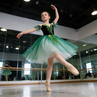Costume de danse pour femme, jupe de ballet, Lago des cygnes, tulle volumineux, vert diamant, soie/coton