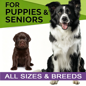 Offre Spéciale : Complément Avancé Oméga 3 pour Chiens – Peau et Pelage Sains avec EPA et DHA pour Apaiser les Démangeaisons et la Peau Sèche, et Favoriser une Fourrure Brillante - Product Image 5