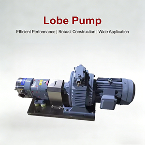 Nash <strong>Pump</strong> Custom Lobe <strong>Pump</strong> Multi-Material, High Viscosity Wear-Resistant - Product Image 2