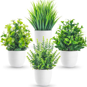 Plante en pot décorative - Product Image 1