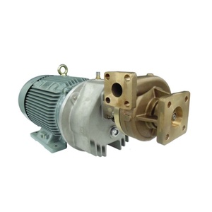 หัวปั๊มไฟฟ้าคุณภาพสูง รุ่น 280 M ปั๊มสแตนเลสสำหรับการขนส่งก๊าซธรรมชาติเหลวแบบไครโอเจนิก - Product Image 1