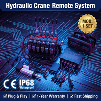 Control Remoto Inalámbrico de 6 Canales 24/12V 30W con Configuración de Embrague Electromagnético para Grúas de Camión