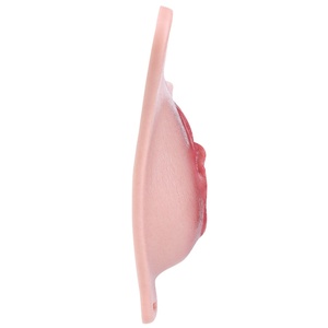 FAAK Culotte Strapon Couleur Peau avec Faux Vagin en Silicone, Harnais Pénien, Jouet Sexuel pour Sissy - Product Image 6