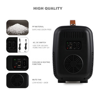 Mini réfrigérateur portable, petit réfrigérateur 4L 12V 220V, réfrigérateur cosmétique pour la maison, la voiture, mini réfrigérateur pour hôtel, mini bar