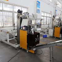 Machine d'emballage pour écrous et boulons avec fonctions de comptage et de pesage