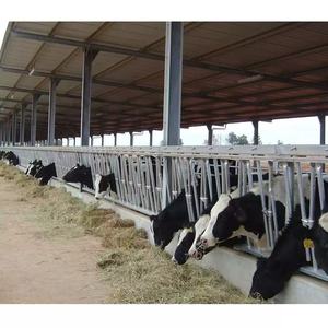 Gallineros de pollo resistentes a la corrosión personalizados profesionales, cobertizos de ganado, estructura de acero duradera de alta calidad, nuevas jaulas de animales - Product Image 1