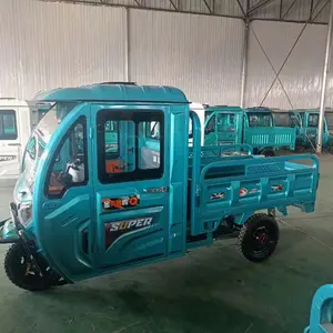 Special Factory Produce Closed Electric Tricycle With Cabin 3 Wheel Electric Cargo Bike