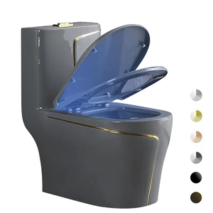 WC en céramique moderne de luxe, une seule pièce, en porcelaine, couleur or noir, cuvette de toilette en céramique - Product Image 2