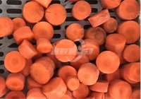 Automatische babywortelproductie snijmachine rolborstel schilmachine wortelverwerkingslijn