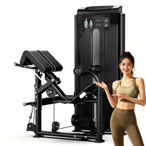 Professional BACK STRETCHING MACHINE Gym Equipment Commercial Fitness Back Extension Strength Training WD-F2072 Your - Product Image 1