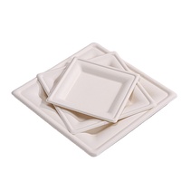 Nouveauté Assiettes jetables en papier de canne à sucre et plateaux en pulpe de bagasse de canne à sucre Assiettes en papier alimentaire Plateau pour fête 100000 CN;SHG