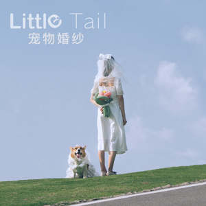 שמלת כלה כלב לבן שמלת כלה תחפושת גור שמלות כלה לכלבים קטנים בגדי כלב יוקרה pomeranian chihua - Product Image 3