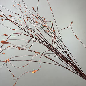 RK006 ขายส่งกิ่งไม้จำลองคุณภาพสูง กิ่งต้นหลิว กิ่งไม้แห้ง แบบเส้น - Product Image 4