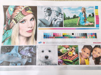 Pigment InkLab CMYK 4 couleurs pour cartouches d'encre avec puce compatible pour EPSON WF-C21000 C21000a C21000c