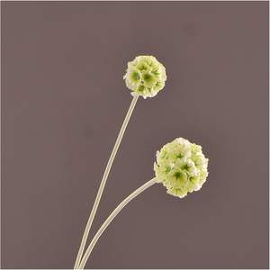 Semillas de Scabiosa de Seda Artificial de Alta Calidad para Decoración del Hogar, Bodas, Fiestas, Accesorios de Fotografía - Product Image 3