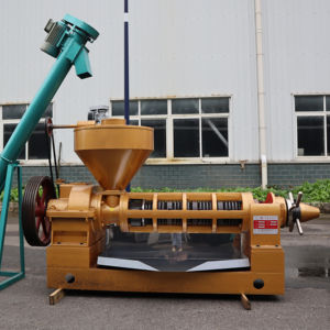 ماكينة ضغط الزيت البارد YZYX140CJGX بسعة كبيرة ، ماكينة عصر زيت عباد الشمس النباتي ، بذور الفول السوداني - Product Image 1