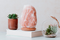 Lampe au sel de l'Himalaya de qualité contemporaine cristal rose artisanat naturel avec gradateur veilleuse électrique Rock originale