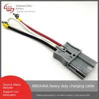 Connecteur de câble de charge de batterie UPS industriel personnalisé SA 50A pour Anderson, DIN L = 100mm, mâle/femelle, 2P, contact en cuivre, PC