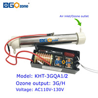 Generador de Ozono de Tubo de Cuarzo de 3G/H y 12KV para Purificación de Aire y Agua, Ozonizador para SPA, Fabricante de Generadores de Ozono, Ozonizador de 220V