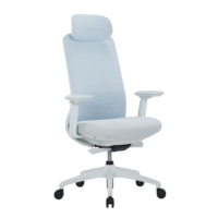 Chaise de bureau avec design ergonomique en maille, appui-tête réglable, adaptée à la maison et au bureau