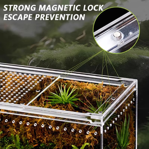 Hộp sinh sản Acrylic cho bò sát & Lưỡng Cư cho thằn lằn rắn các loài khác - Product Image 6