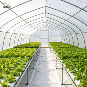 Invernadero Portátil Grande de Plástico Cubierto con Láminas, Diseño de <span class=keywords><strong>Túnel</strong></span> de un Solo Tramo para Agricultura y Jardinería - Product Image 1
