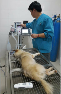 Mesin Anestesi Peralatan Darurat dan Anestesi dengan Perlindungan Ganda untuk Sistem - Product Image 5