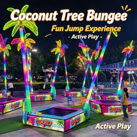 Équipement de jeu commercial : Trampoline Bungee mobile lumineux LED pour parc de loisirs familial, faible entretien