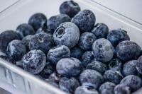 Hot Selling Frozen Blueberry Fruit Bulk 10Kg Iqf Frozen Blueberry Fruit Prijs