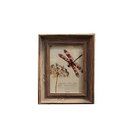 Marcos de Fotos Impresos con Tipografía Estilo Europeo Vintage, de 6 a 10 Pulgadas, Tamaño A4, Diseño Creativo Minimalista, Venta al Por Mayor