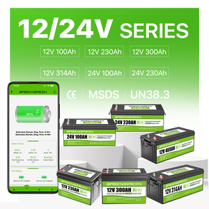 12v <span class=keywords><strong>24v</strong></span> 100ah 230ah 300ah 314ah 628ah lifepo4 סוללת ליתיום פרמיה נייד עבור קמפינג lifepo4 סוללות עופרת ל-ליתיום יון - Product Image 4