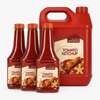 Meilleur prix de gros, ketchup tomate en bouteille de 295 g, 100 % pur, goût sucré et acidulé, sans additifs