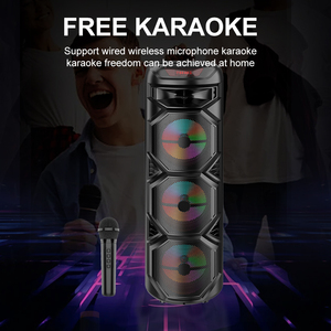 8 "Loa karaoke ngoài trời 120dB âm thanh cực lớn được xây dựng trong mic & năng động dẫn đèn Disco cho các bên <span class=keywords><strong>DJ</strong></span> cho thấy sự kiện - Product Image 5