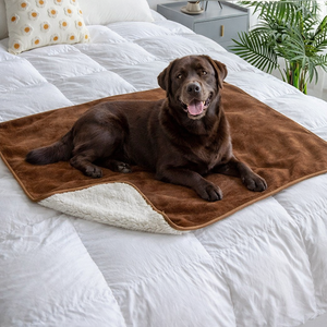 ผ้าห่มลดราคา ผ้าพลัฌนุ่มสองด้าน ป้องกันเฟอร์นิเจอร์ ผ้าขนเชอร์ปา กันน้ำ ผ้าห่มสุนัข ซักได้ แผ่นรองสัตว์เลี้ยง - Product Image 1